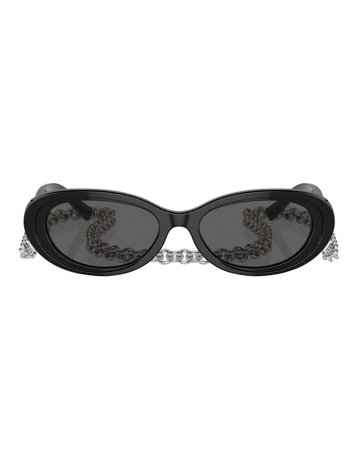 TF4221 Sunglasses in Black