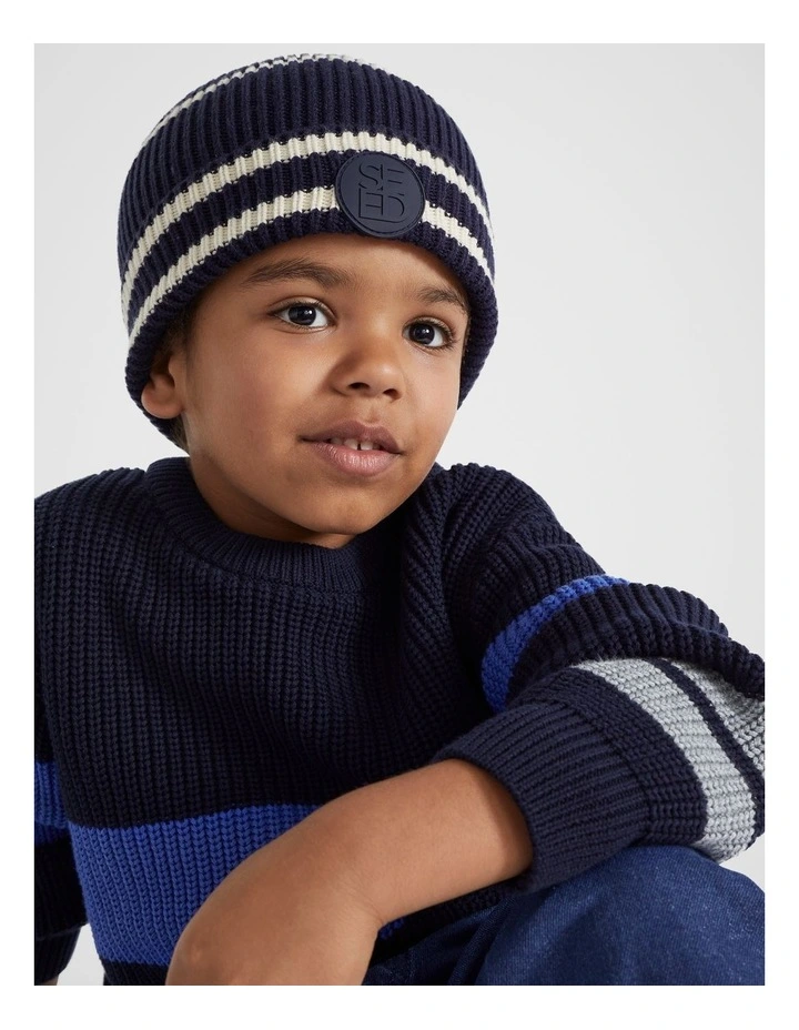 Stripe Emb Beanie in Multi
