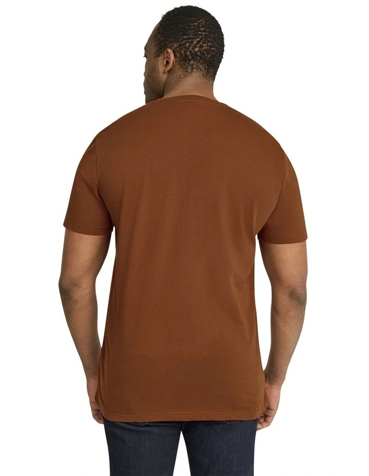 Essential V Neck Tee in Clay
