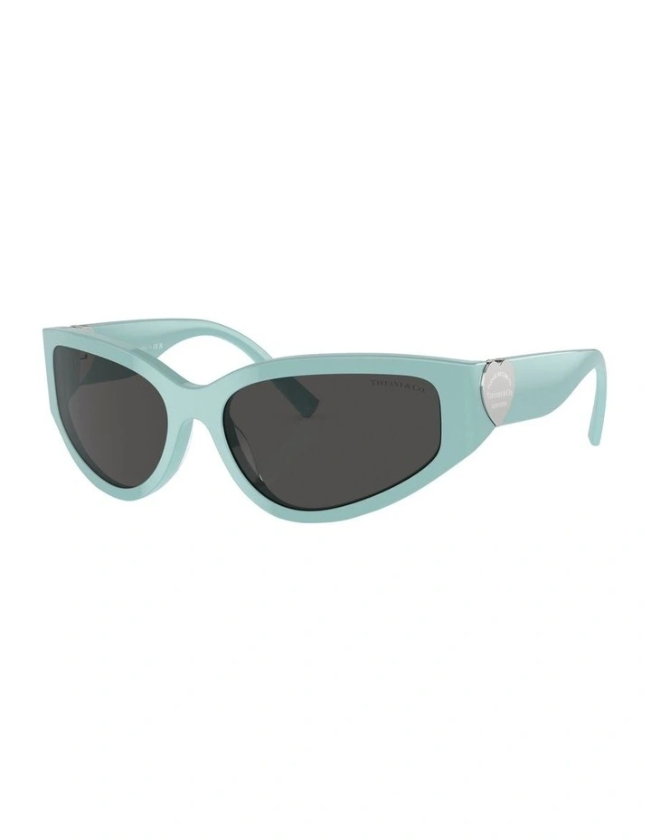 TF4217 Sunglasses in Blue