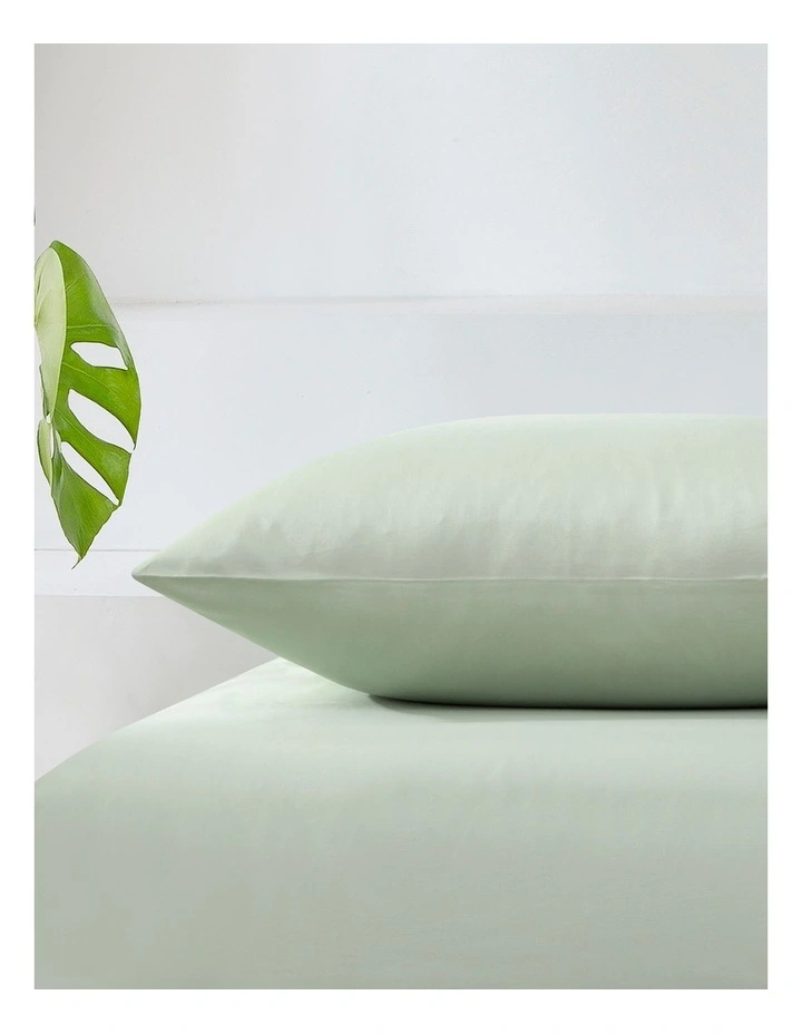 500TC Cotton Sateen Euro Pillowcase in Sage