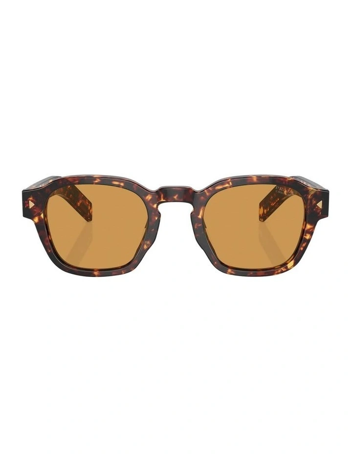 PR A16S Sunglasses in Tortoise