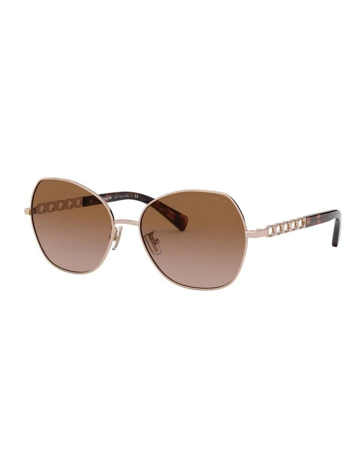HC7112 L1130 Gold Sunglasses