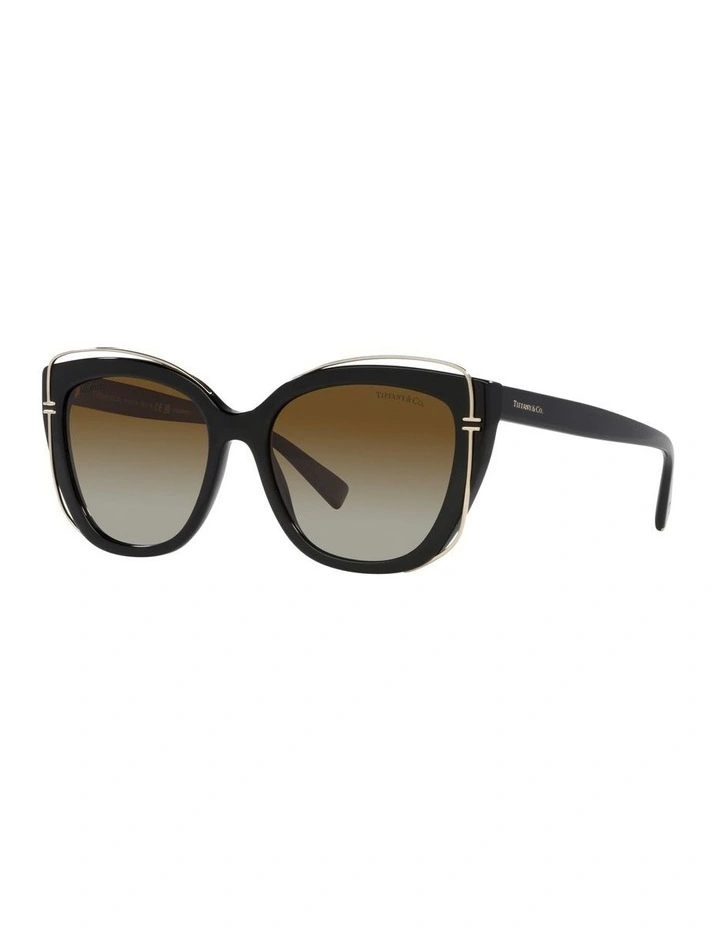 0TF4148 Polarised Sunglasses In Black
