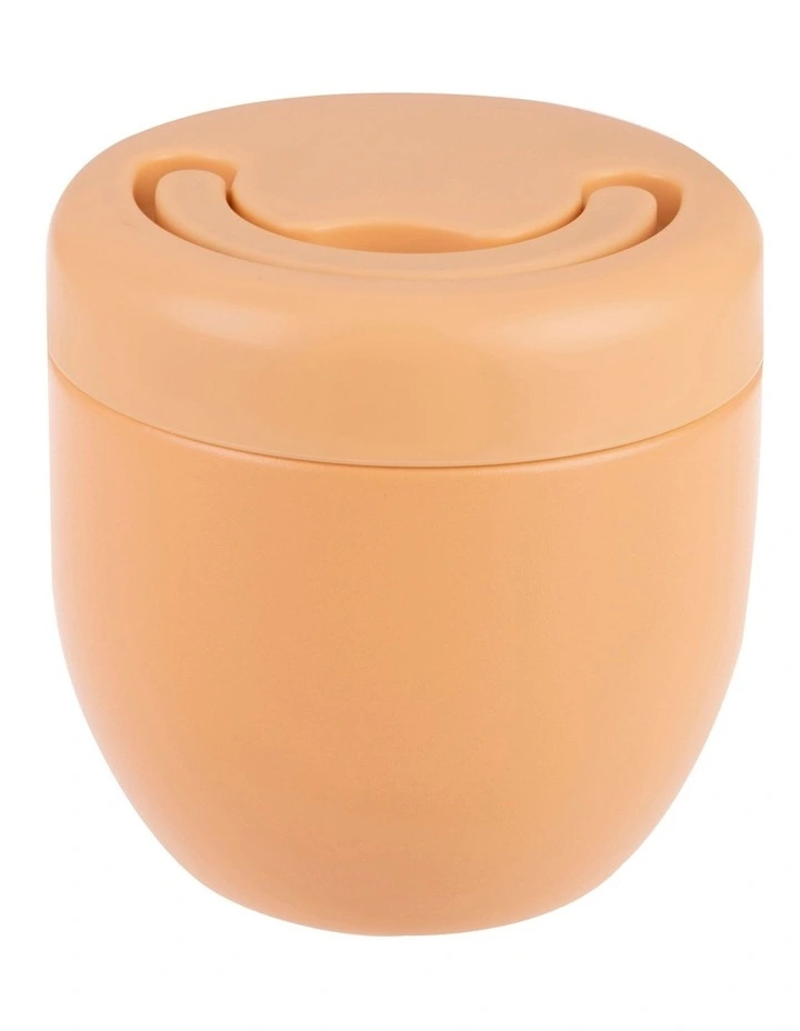 Stainless Steel Double Wall Insulated Food Pod 470ml in Rockmelon