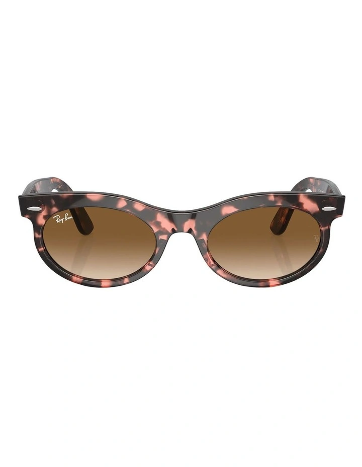 Wayfarer Oval Sunglasses in Pink