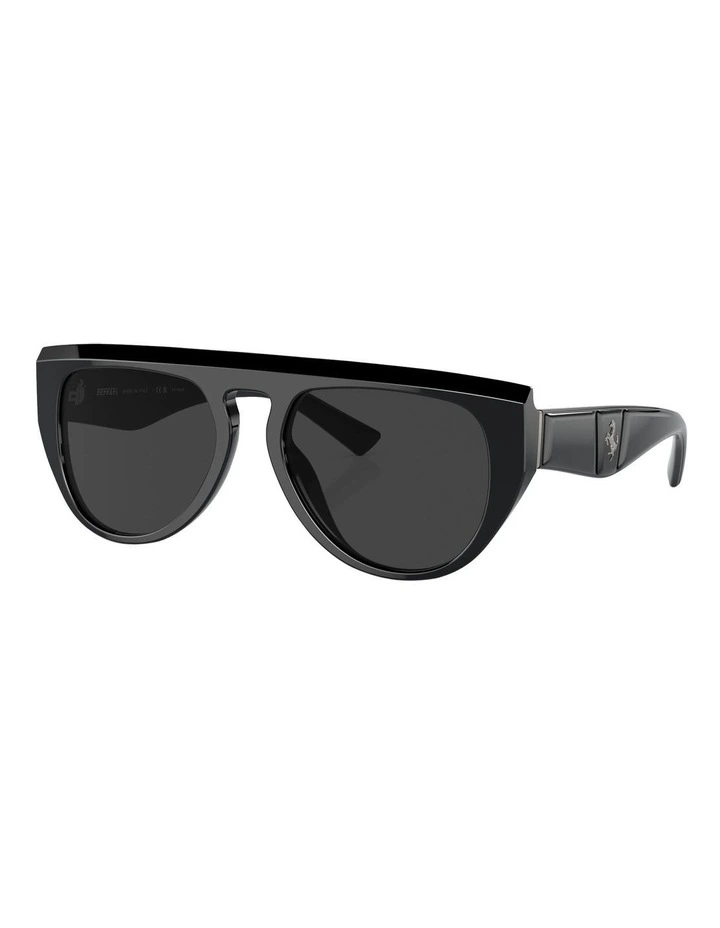 FH2005U Polarised Sunglasses in Black