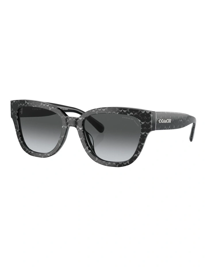 Polarised CL920 Sunglasses in Grey