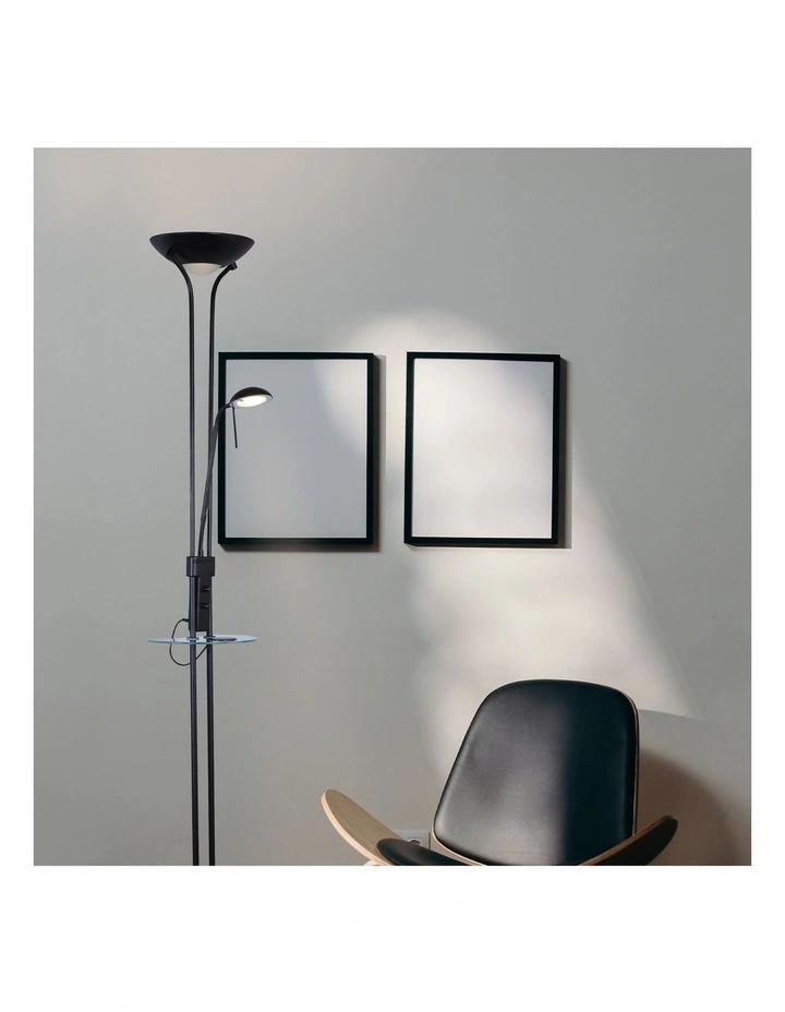 Seed USB LED Mother & Child Floor Lamp in Black