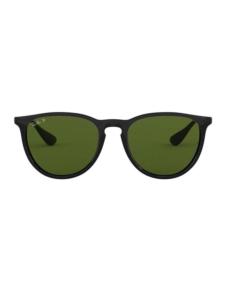 Erika Black RB4171 Polarised Sunglasses