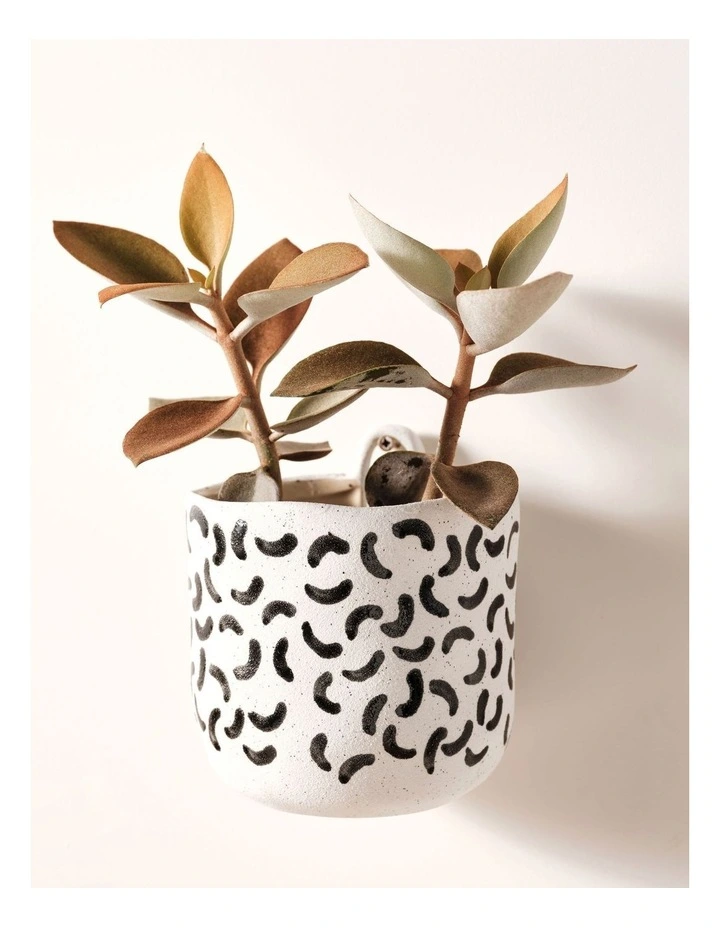 Linen House Paterna 15cm Planter Pot Black Curve