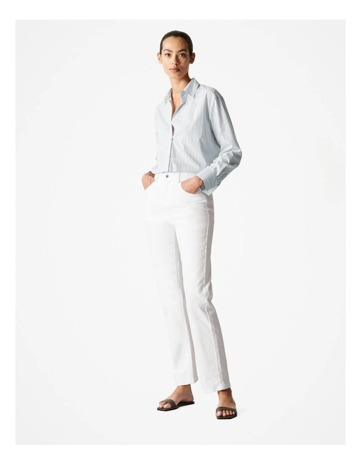 Cotton Poplin Stripe Shirt in Pale Blue