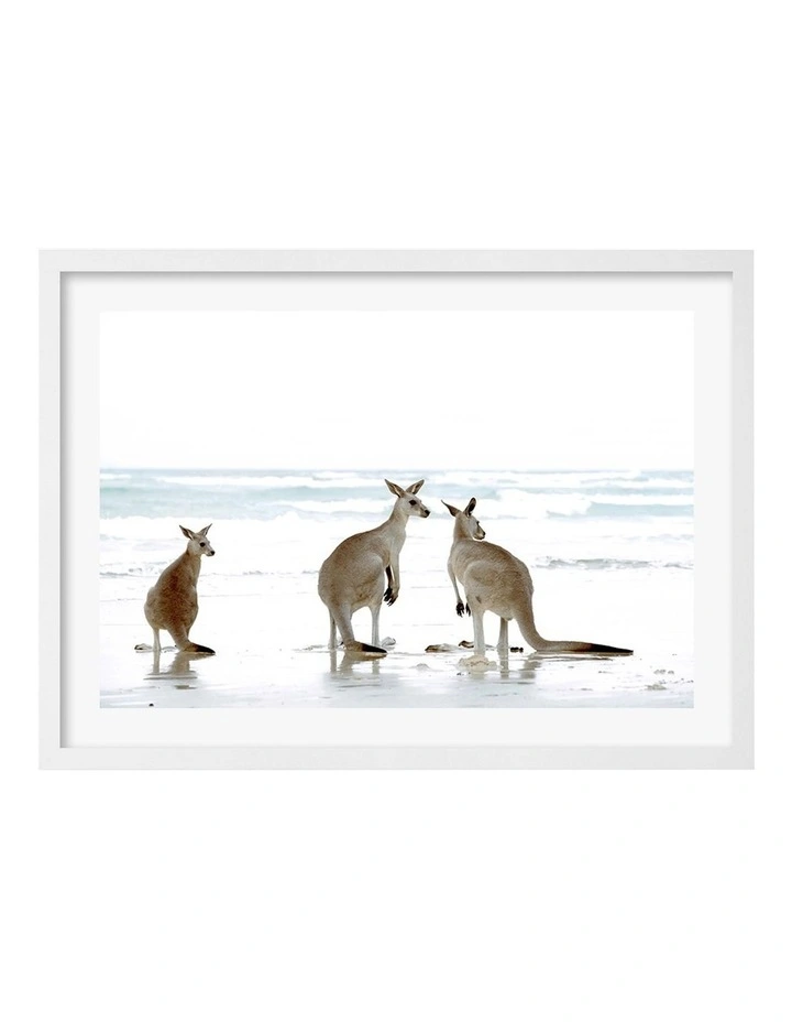 Australian Made Kangaroo Beach Art Print A2 in White Frame
