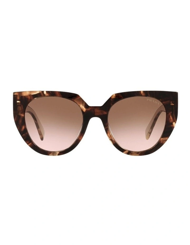 PR14WS Sunglasses in Tortoise