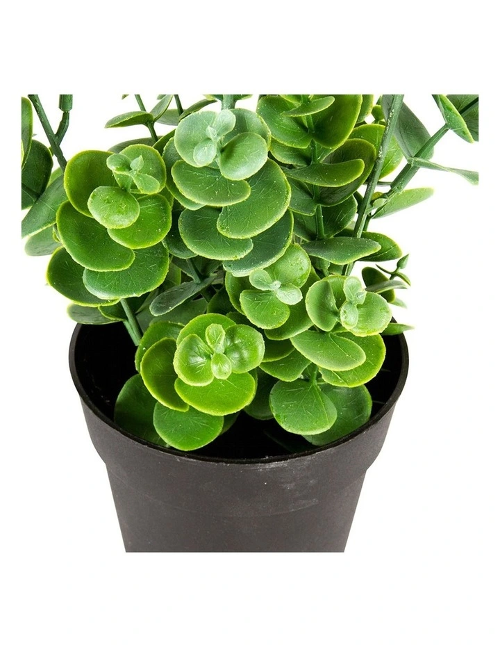 Artificial Eucalyptus Plant Pot in Green