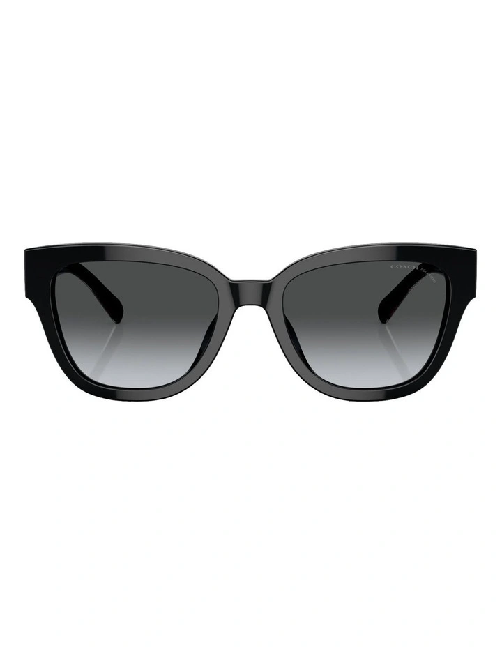 Polarised CL920 Sunglasses in Black
