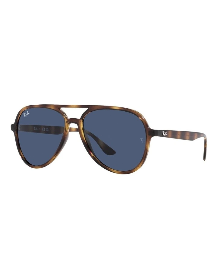 RB4376 Tortoise Sunglasses in Brown