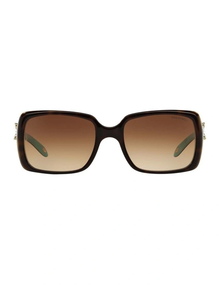 TF4047B Tortoise Sunglasses