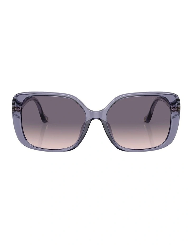 CL929 Sunglasses in Violet