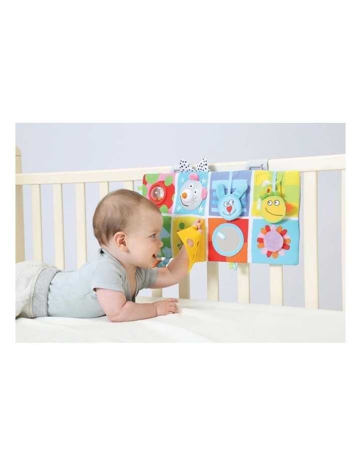 3 in 1 Baby Book