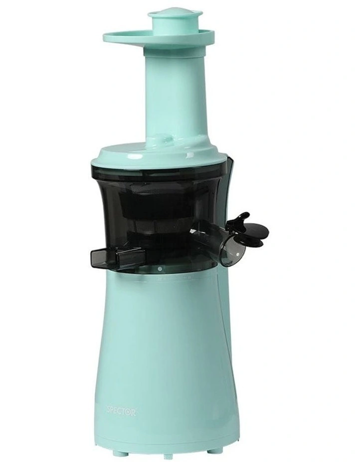 Cold Press Slow Electric Fruit Juicer in Mint