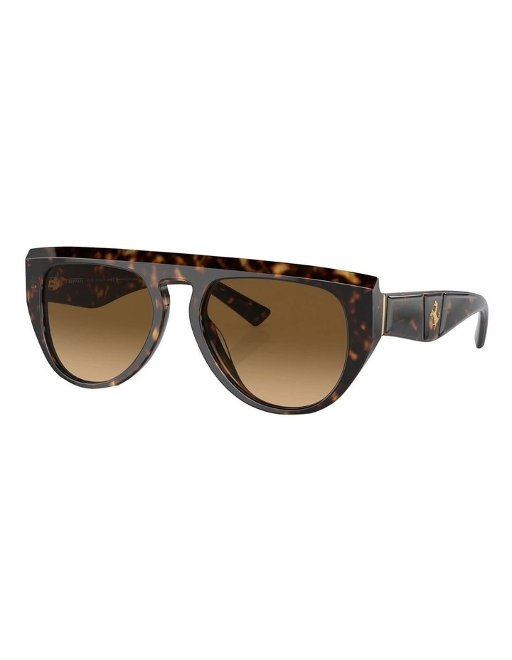 FH2005U Polarised Sunglasses in Tortoise