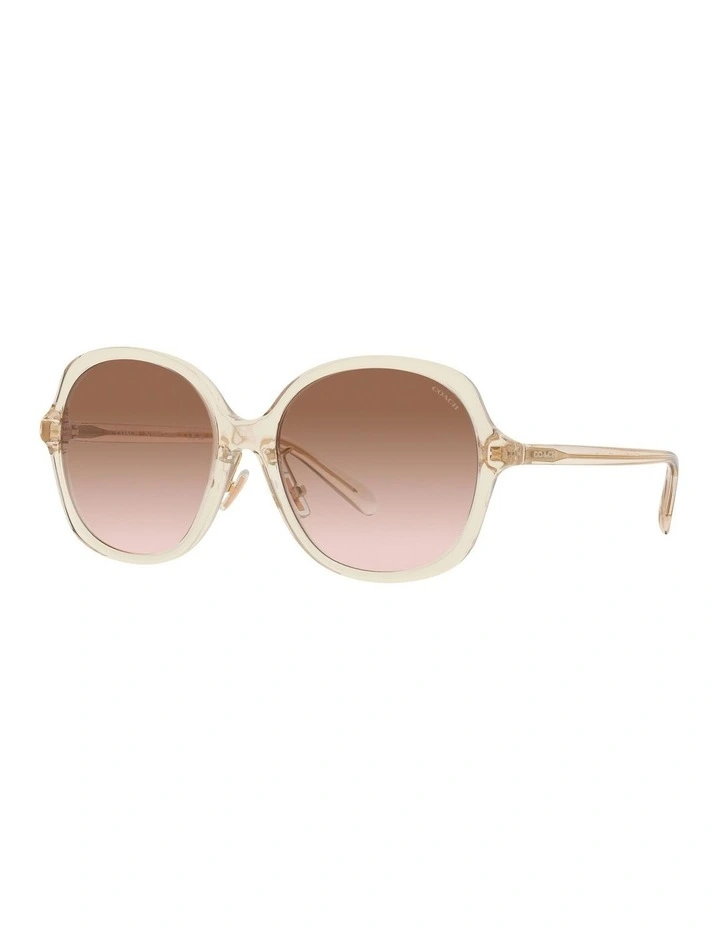 CH610 Sunglasses in Brown