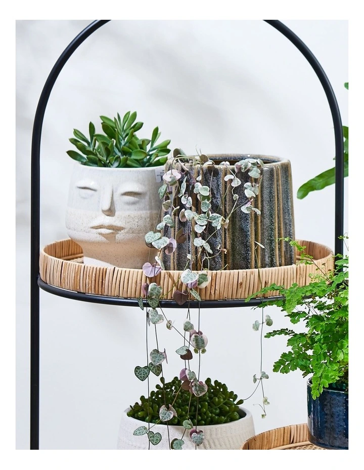 Avoca Ceramic Planter D14.5xh14.5cm Blue