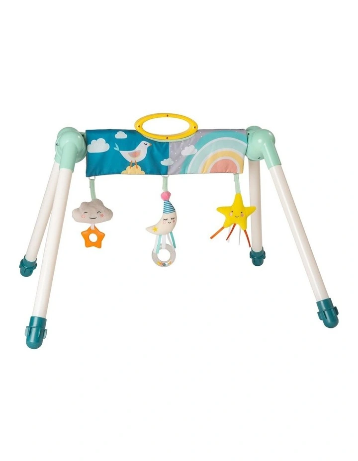Mini Moon Take To Play Baby Gym
