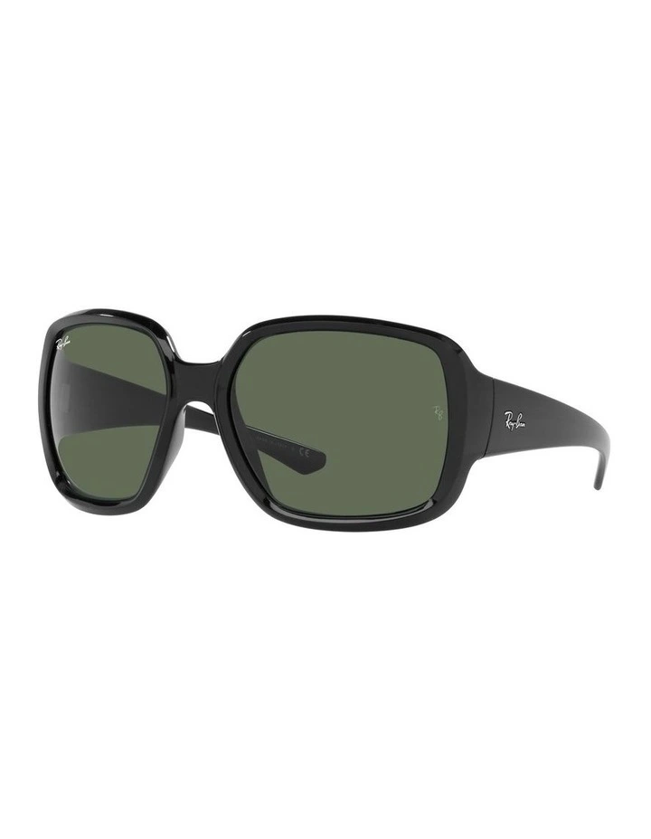 RB4347 Black Sunglasses