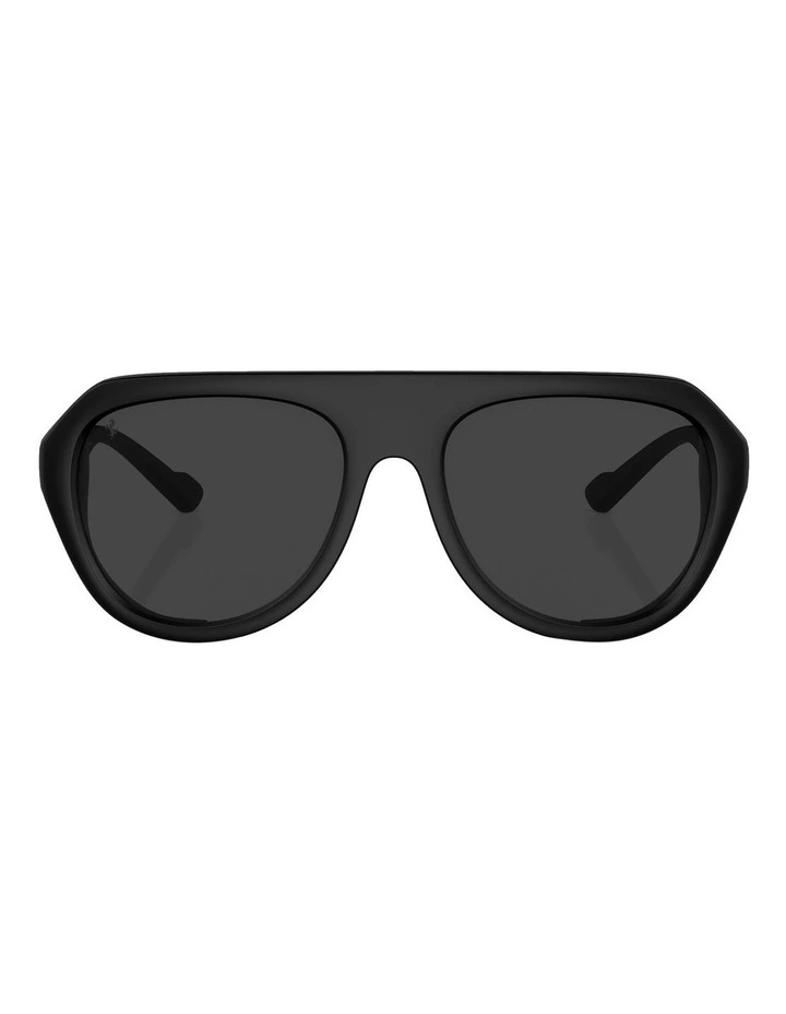 FH2002QU Polarised Sunglassesin Black
