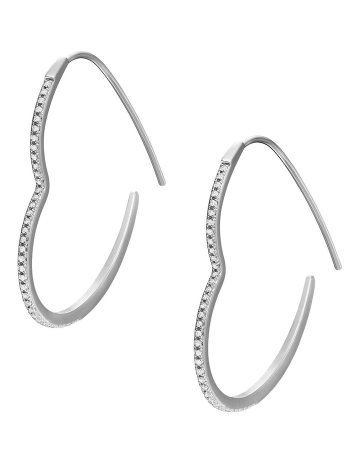 Jewelry Earrings in Silver