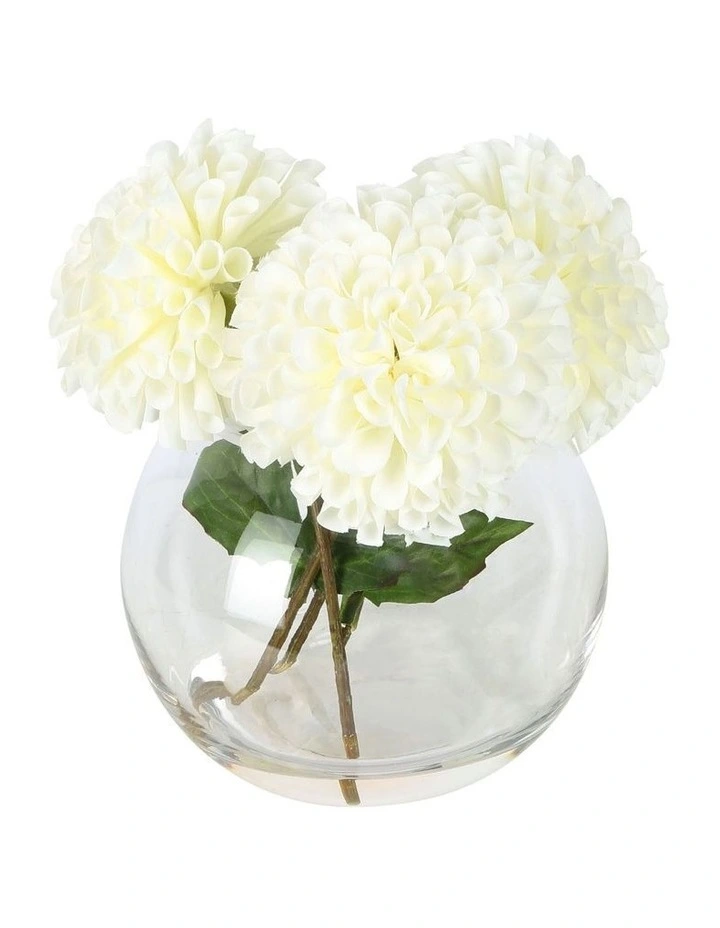 White Dahlia Delight Small Arrangement