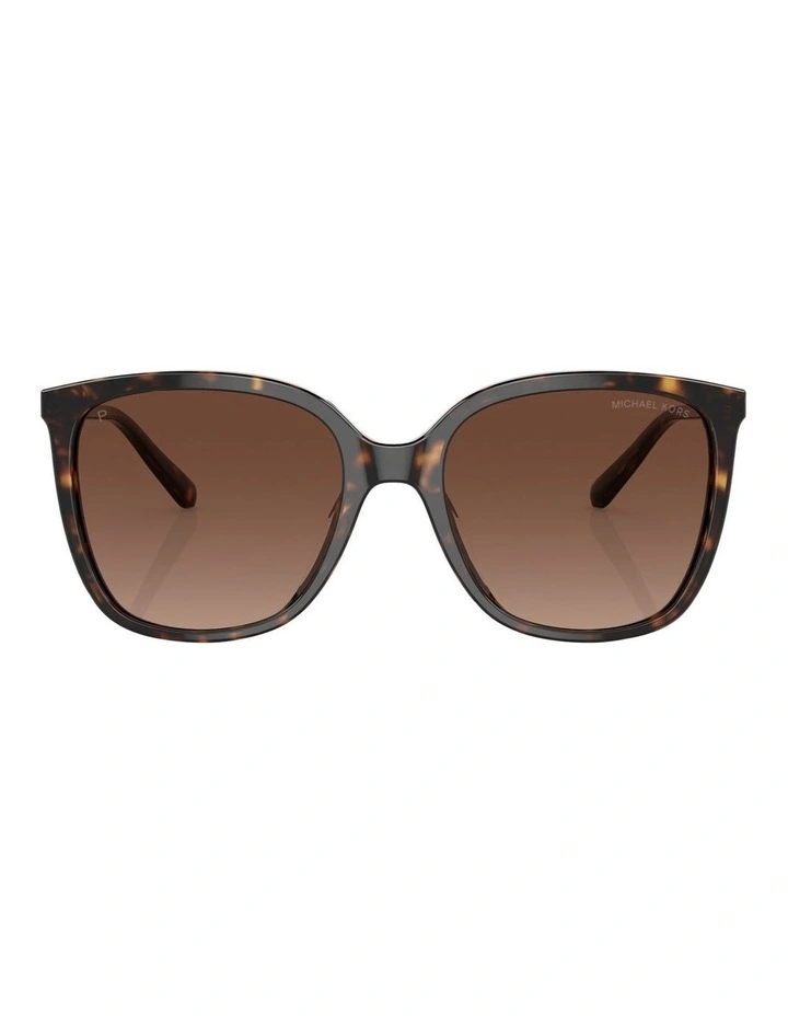 Anaheim Polarised Sunglasses in Tortoise