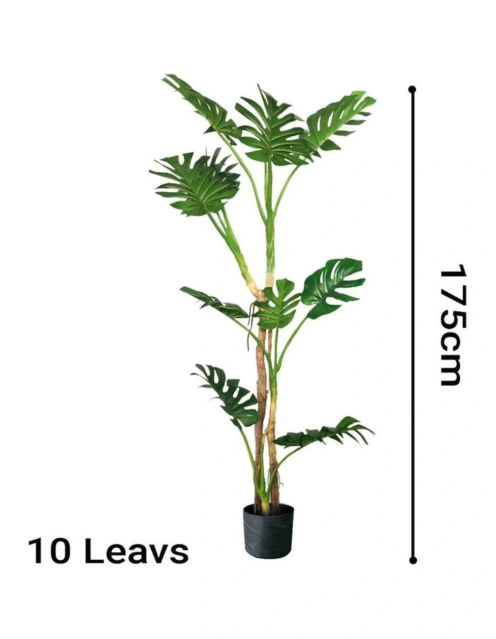 Potted Turtle Back Fern Artificial Plant 175cm in Multi