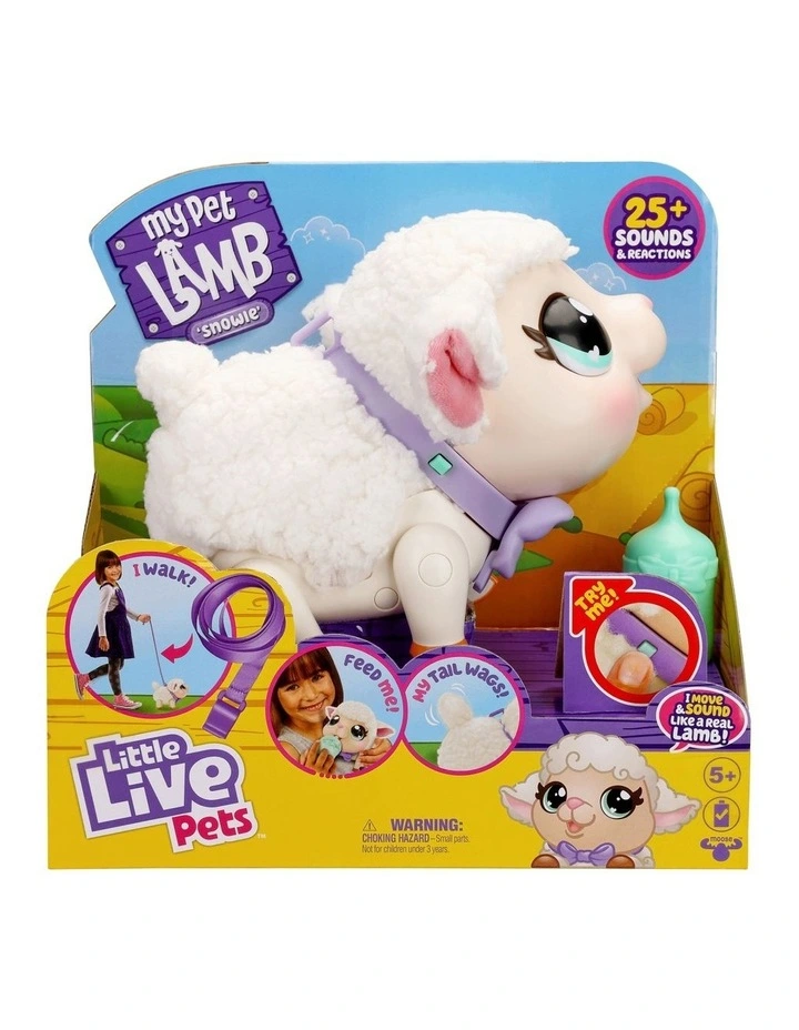My Pet Lamb Snowie