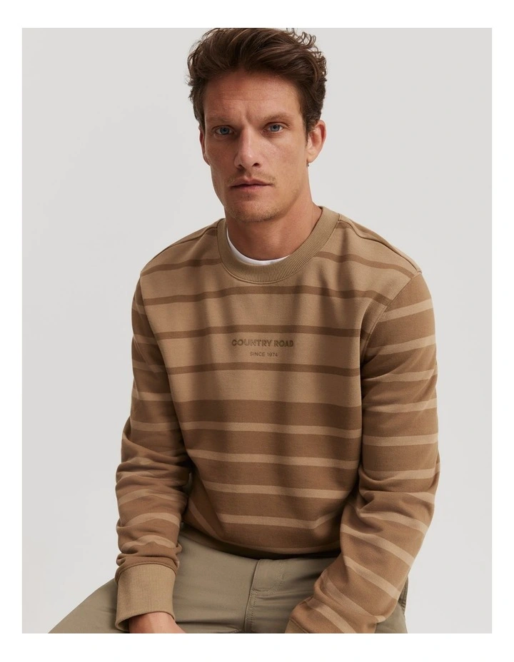 Australian Cotton Stripe Modern Logo Sweaters in Walnut