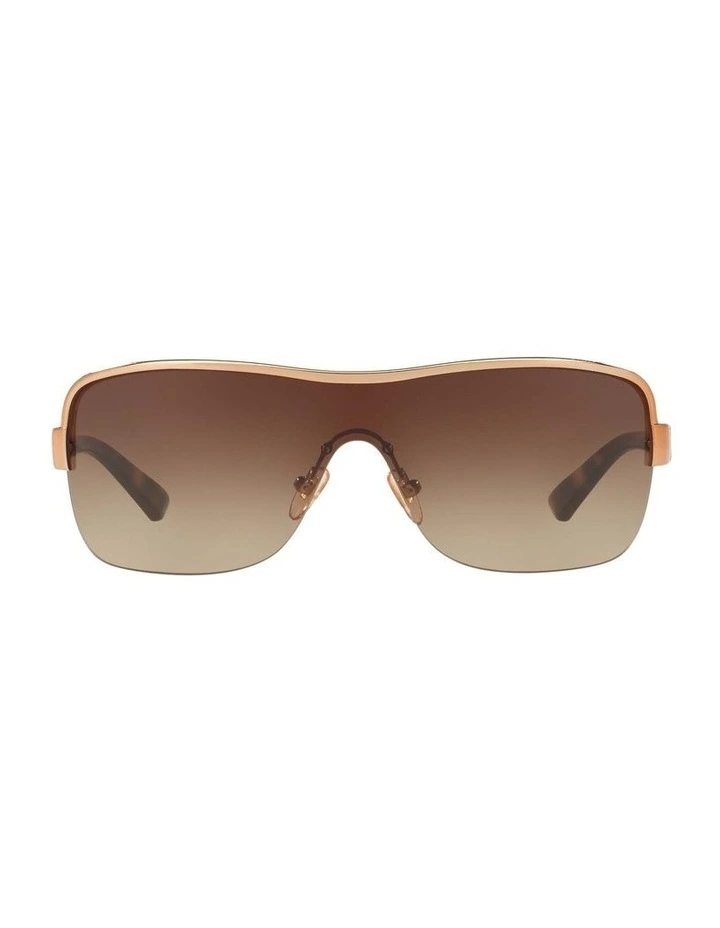 HU1003 Brown Sunglasses
