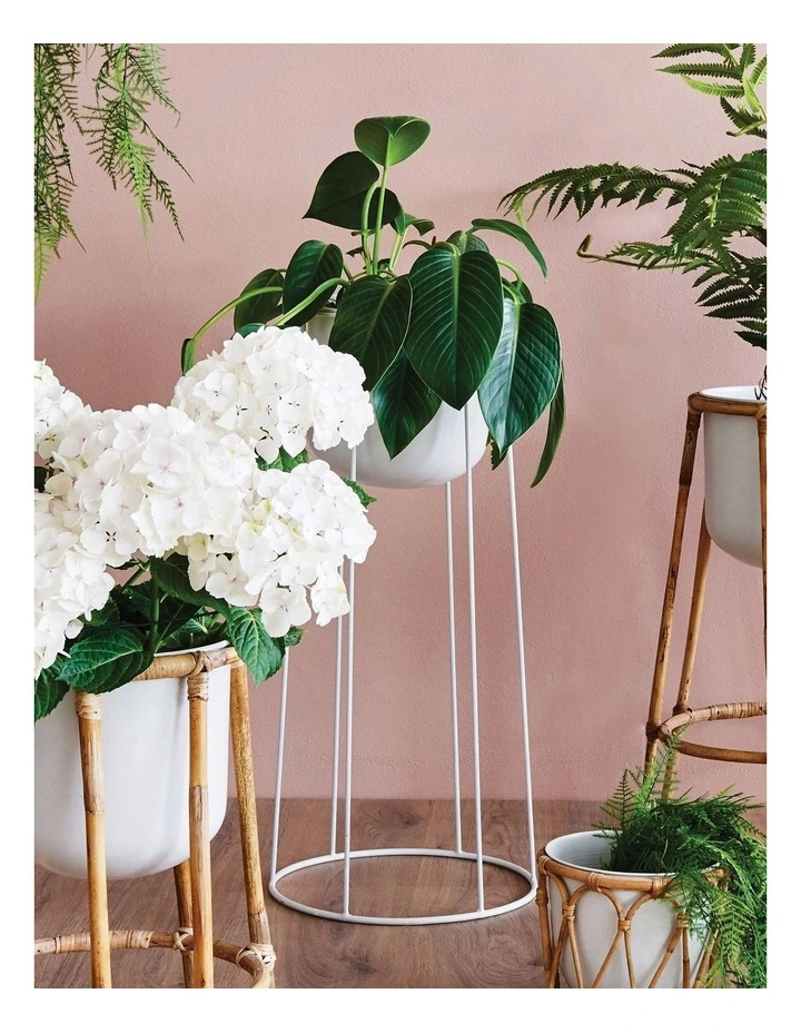 Botanica White Planter Set