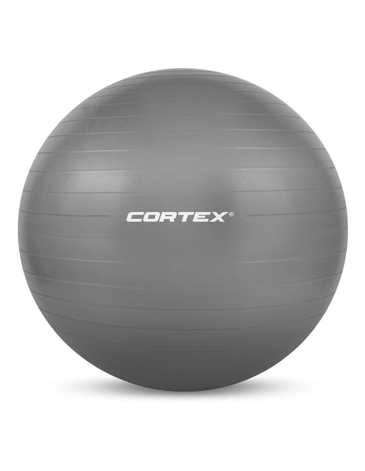 Fitness Ball 55cm in Grey