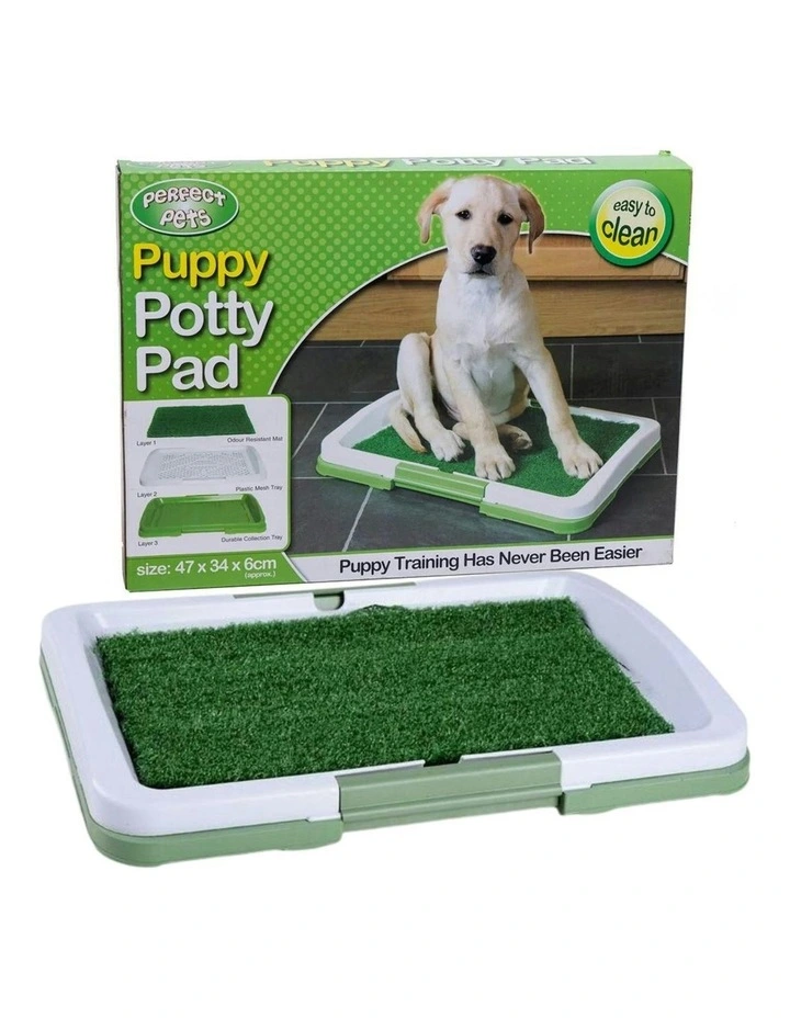Portable Dog Toilet Training Mat in Green