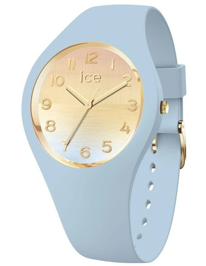 Horizon Watch in Blue/Gold