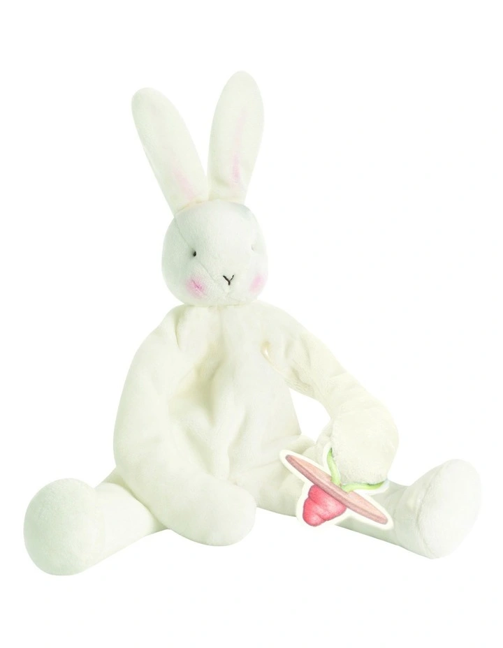 Silly Buddy Pacifier Holder Toy