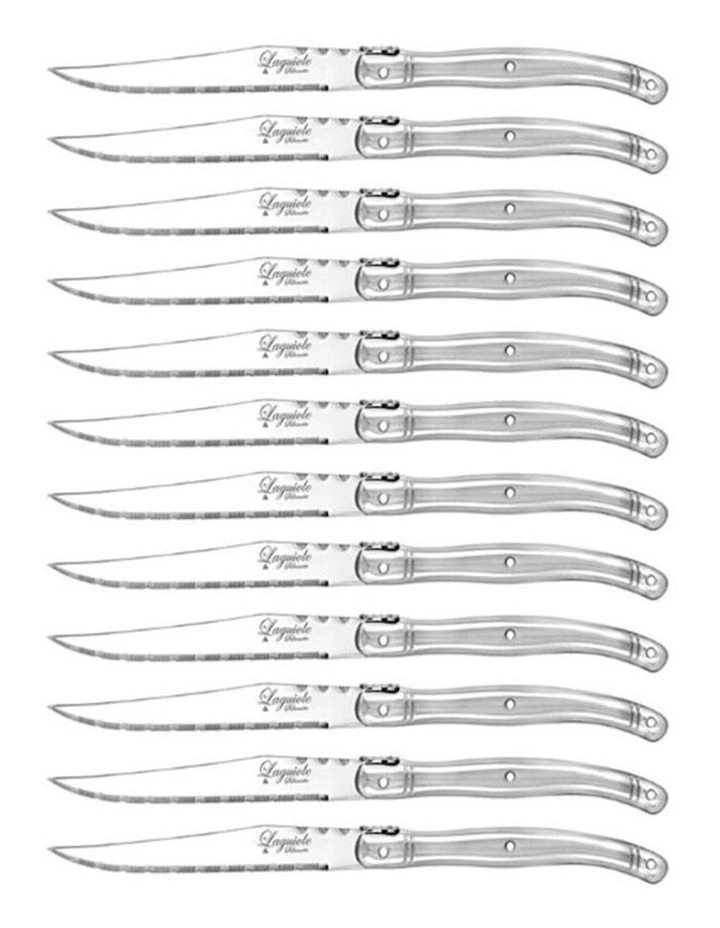 Stainless Steel Steak Knife Set 23.5cm 12 Piece in Silver