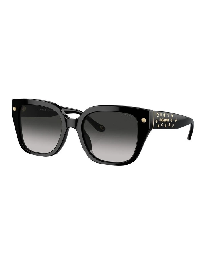CR611 Sunglasses in Black