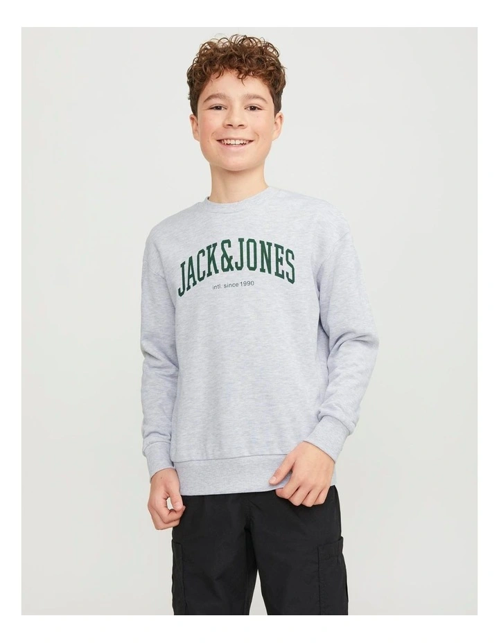 Josh Crew Neck Sweatshirt in White