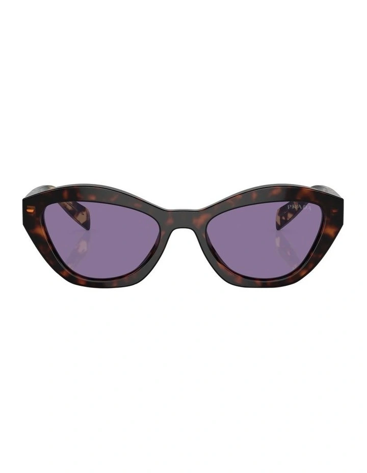 PR A02SF Sunglasses in Tortoise