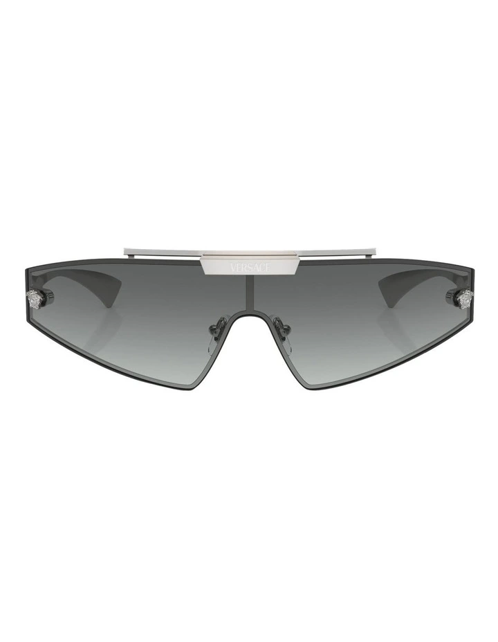 VE2265 Sunglasses in Silver