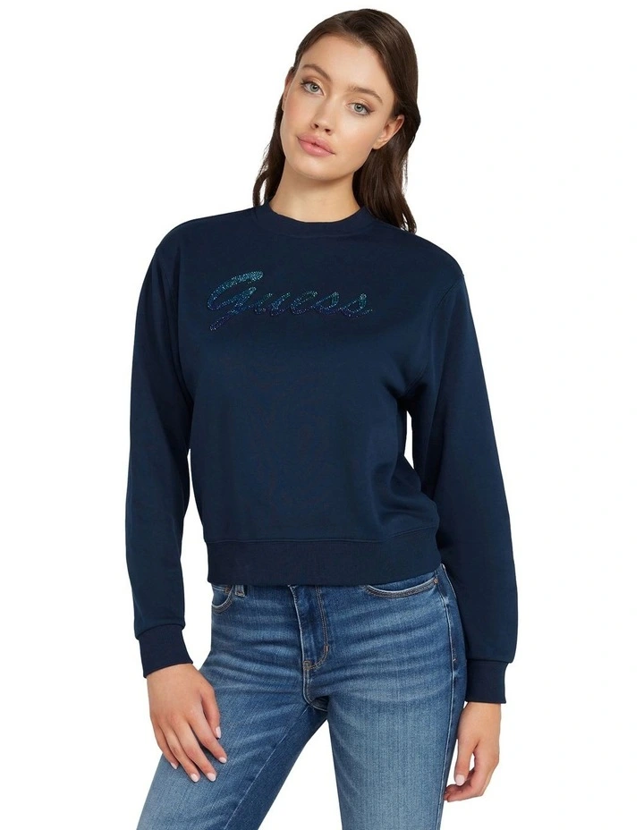Shiny Sweatshirt in Blackened Blue