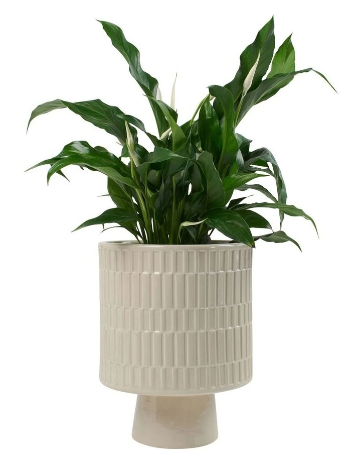 Kendall Planter Taupe 22.5x29cm in Beige